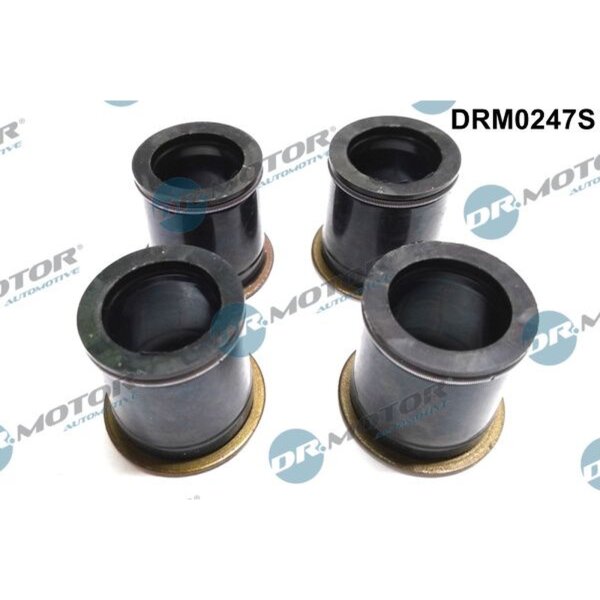 Dr.Motor Automotive DRM0247S Dichtung, Düsenhalter