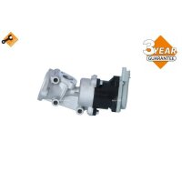 NRF 48390 AGR-Ventil