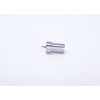 BOSCH 0 434 250 063 Einspritzdüse
