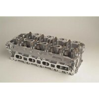 AMC 908619 Zylinderkopf