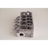 AMC 908825 Zylinderkopf