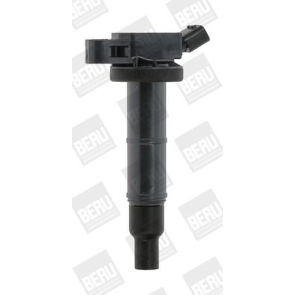 BorgWarner (BERU) ZSE171 Zündspule