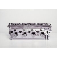 AMC 908921 Zylinderkopf
