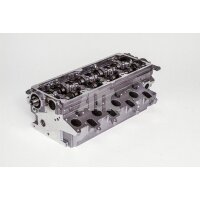 AMC 908921 Zylinderkopf