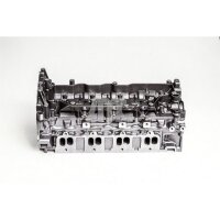 AMC 908966 Zylinderkopf