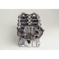 AMC 910700 Zylinderkopf