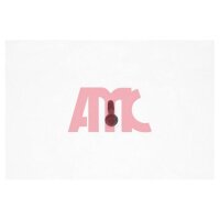 AMC 258519 Zylinderkopfschraubensatz