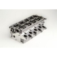 AMC 908925K Zylinderkopf