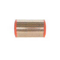 BOSCH 1 457 432 124 Luftfilter
