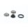 CONTINENTAL CTAM WBE1249 Radlagersatz