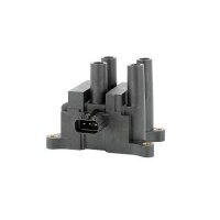 BorgWarner (BERU) ZS556 Zündspule