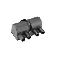 BorgWarner (BERU) ZS545 Zündspule