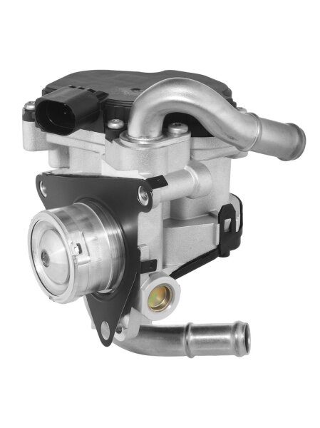 BorgWarner 72147559D AGR-Ventil