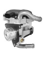 BorgWarner 72147559D AGR-Ventil