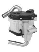 BorgWarner 72147559D AGR-Ventil
