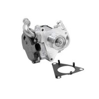 BorgWarner 72147559D AGR-Ventil