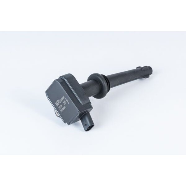 BorgWarner (BERU) ZSE204 Zündspule