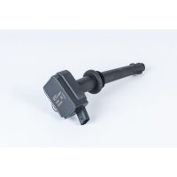 BorgWarner (BERU) ZSE204 Zündspule