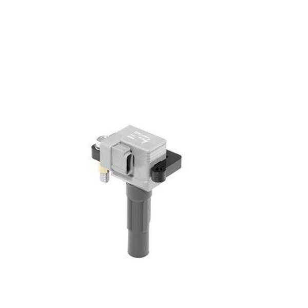 BorgWarner (BERU) ZSE213 Zündspule