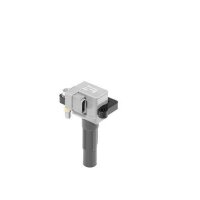BorgWarner (BERU) ZSE213 Zündspule