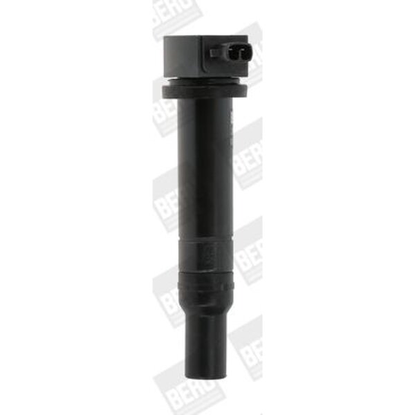 BorgWarner (BERU) ZS481 Zündspule