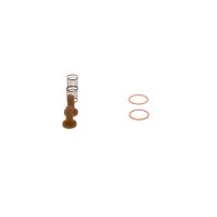 BOSCH 2 447 010 011 Reparatursatz, Kraftstoffpumpe