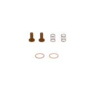 BOSCH 2 447 010 011 Reparatursatz, Kraftstoffpumpe