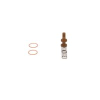 BOSCH 2 447 010 011 Reparatursatz, Kraftstoffpumpe