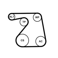 CONTINENTAL CTAM 6PK1360K1 Keilrippenriemensatz