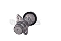 Litens 950080 Riemenspanner, Keilrippenriemen
