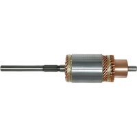 AS-PL SA3009 Anker, Starter