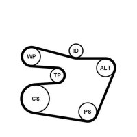 CONTINENTAL CTAM 6PK1538K1 Keilrippenriemensatz