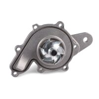 HEPU P130 Wasserpumpe, Motorkühlung
