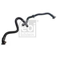 FEBI BILSTEIN 185679 Schlauch,...