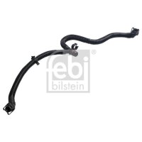 FEBI BILSTEIN 185679 Schlauch,...