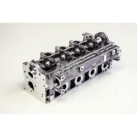 AMC 908790 Zylinderkopf