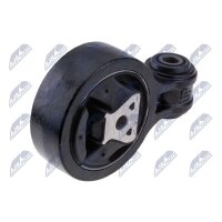 NTY ZPS-CH-117 Lagerung, Motor