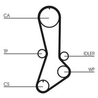 CONTINENTAL CTAM CT765 Zahnriemen