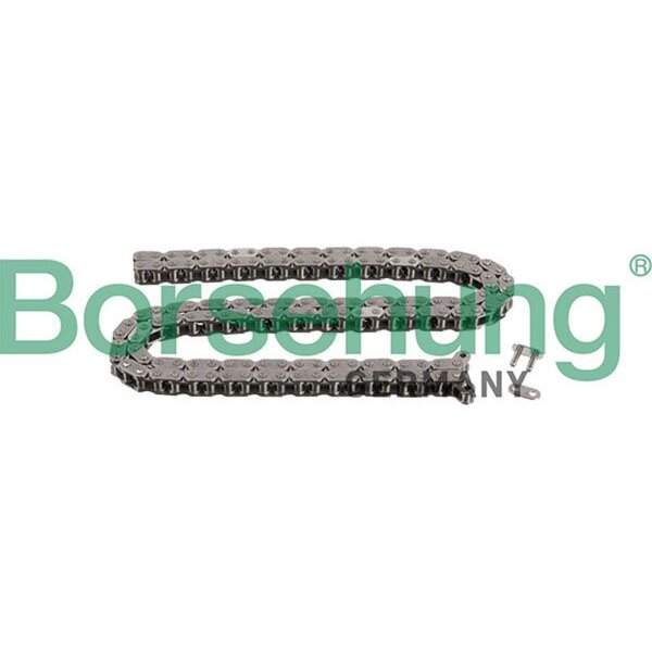 Borsehung B1C026 Steuerkette