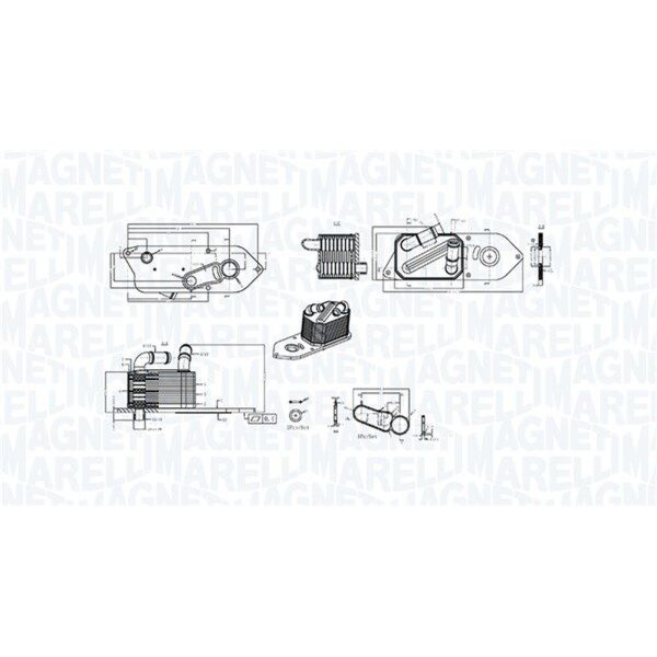 MAGNETI MARELLI 350300006800 Ölkühler, Motoröl