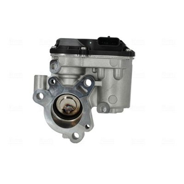 NISSENS 98550 AGR-Ventil