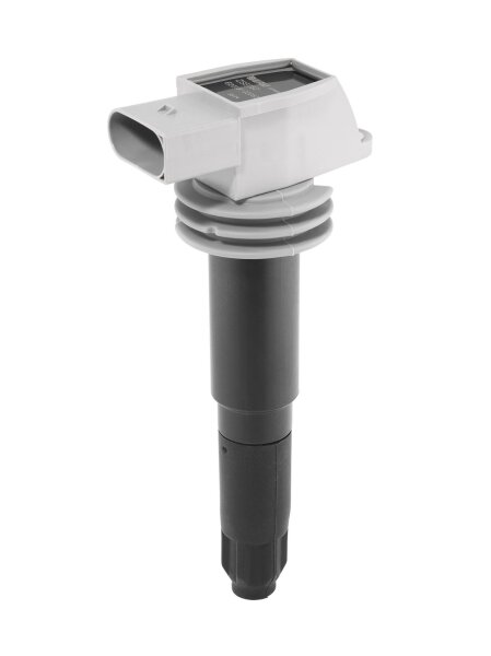 BorgWarner (BERU) ZSE052 Zündspule