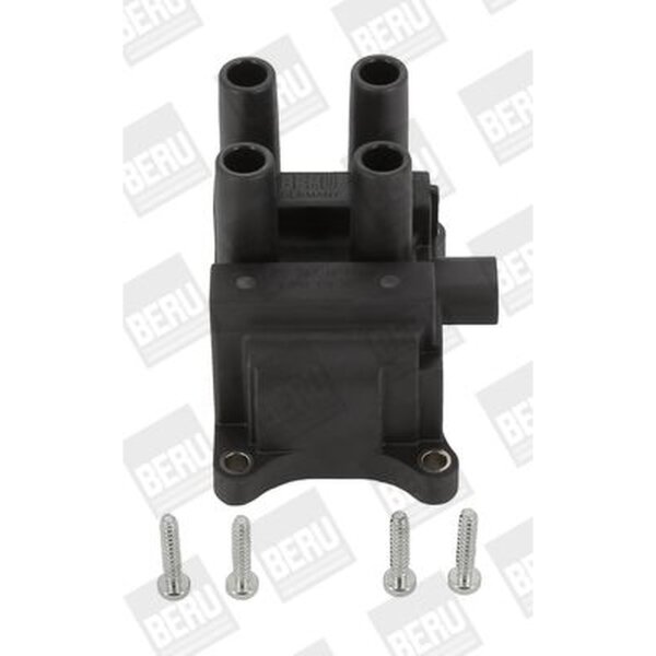 BorgWarner (BERU) ZS387 Zündspule