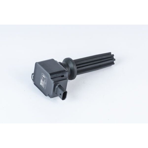 BorgWarner (BERU) ZSE233 Zündspule