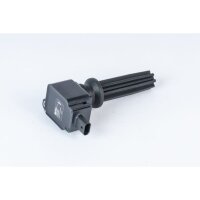 BorgWarner (BERU) ZSE233 Zündspule