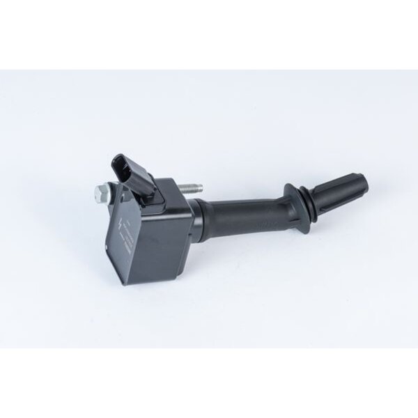 BorgWarner (BERU) ZSE237 Zündspule