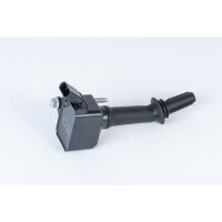 BorgWarner (BERU) ZSE237 Zündspule