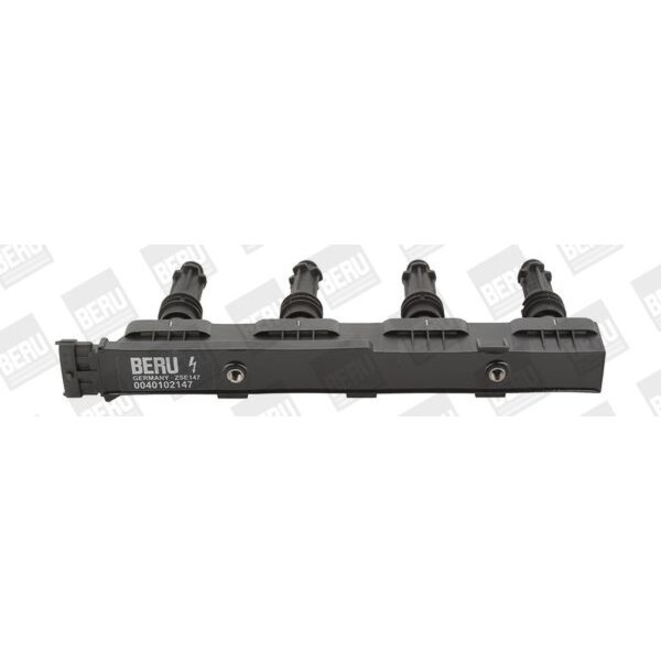 BorgWarner (BERU) ZSE147 Zündspule