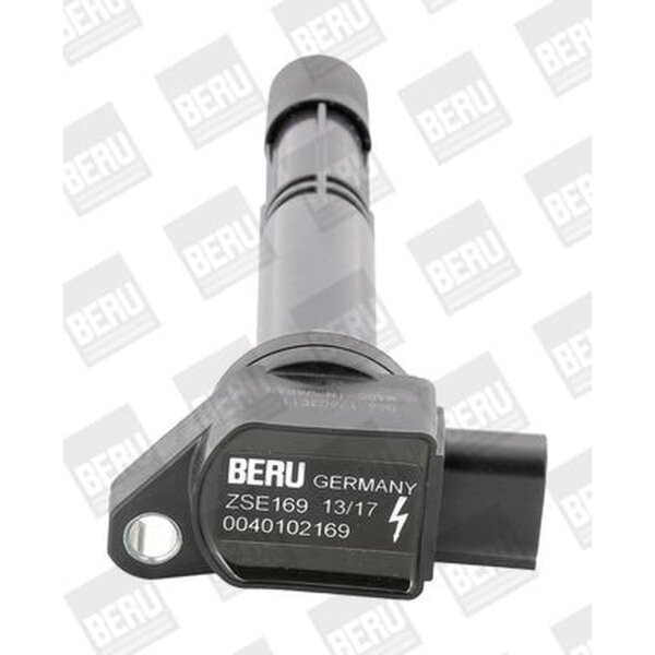 BorgWarner (BERU) ZSE169 Zündspule