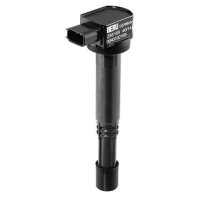 BorgWarner (BERU) ZSE169 Zündspule